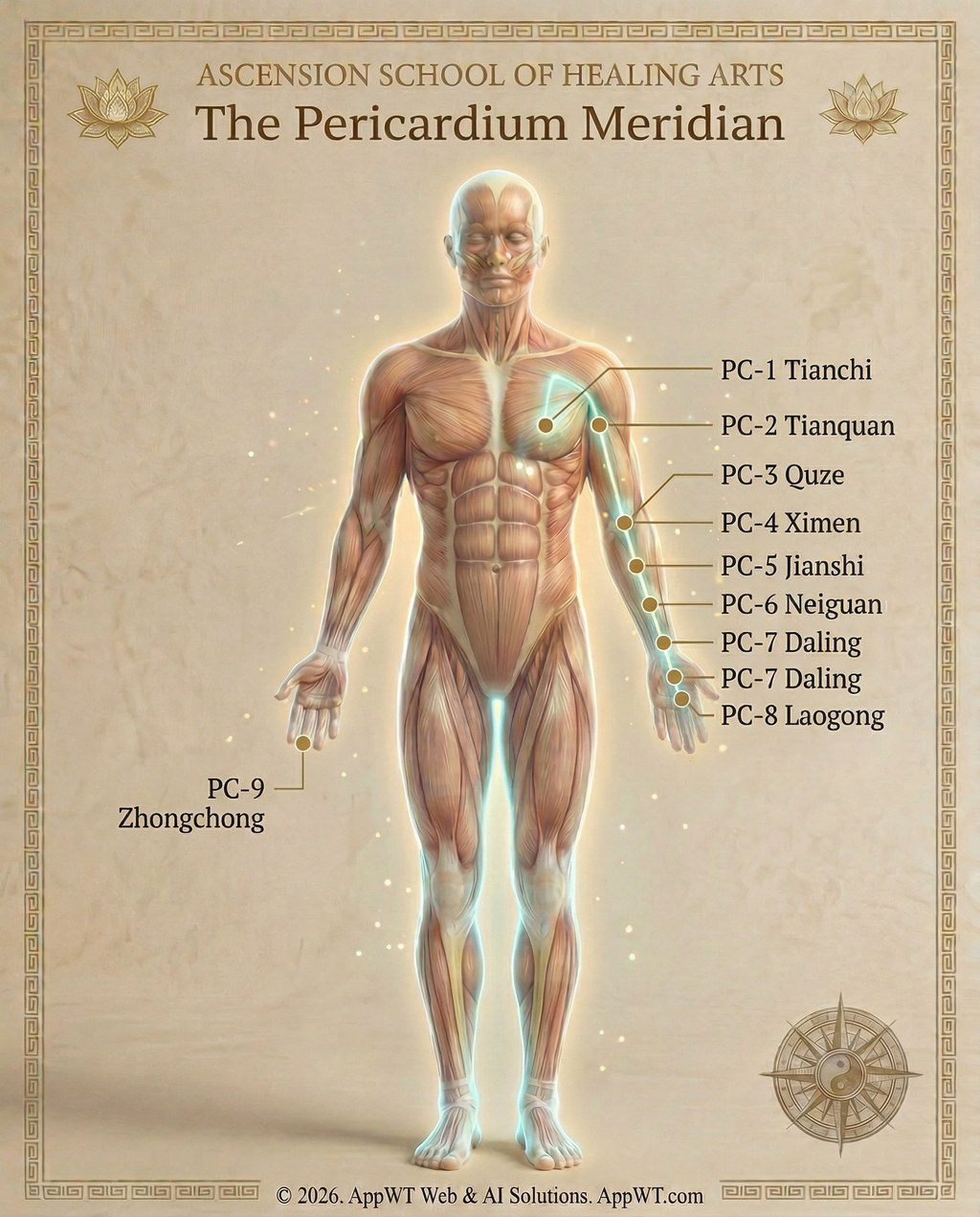 The Pericardium Meridian 1