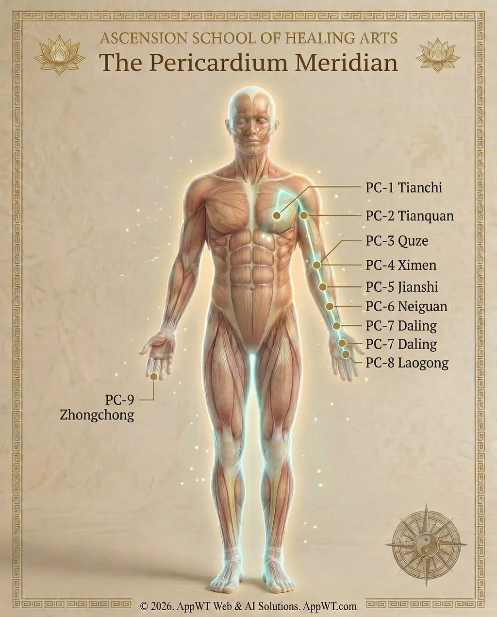 The Pericardium Meridian 1