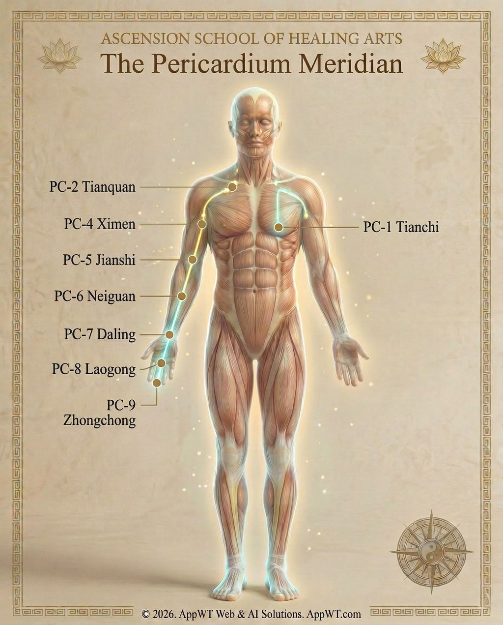 The Pericardium Meridian 2
