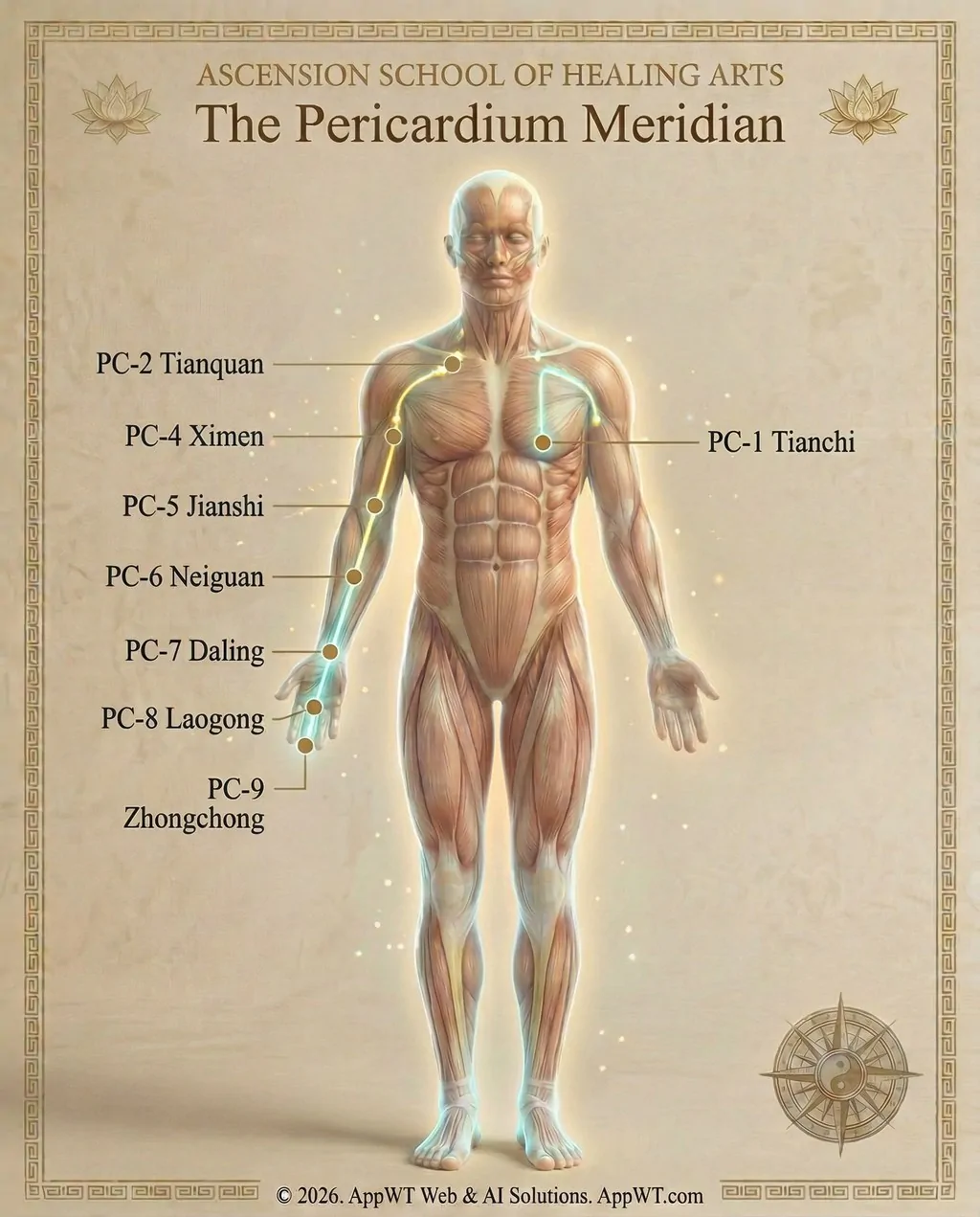 The Pericardium Meridian 2