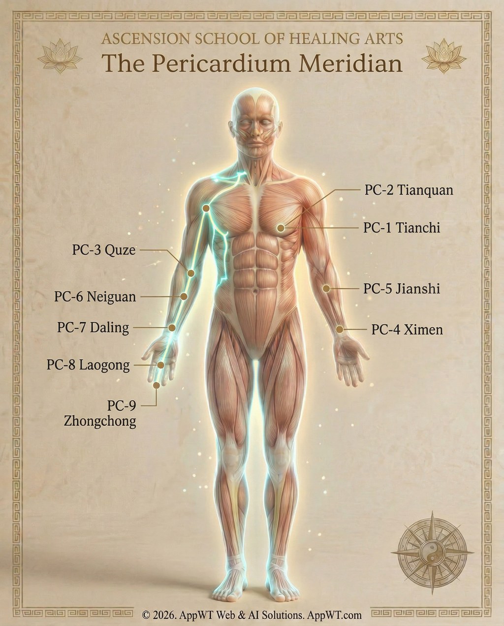 The Pericardium Meridian 3