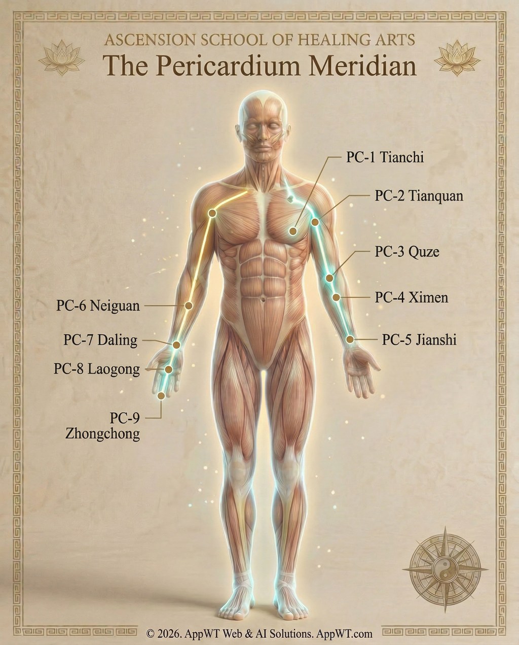 The Pericardium Meridian 4