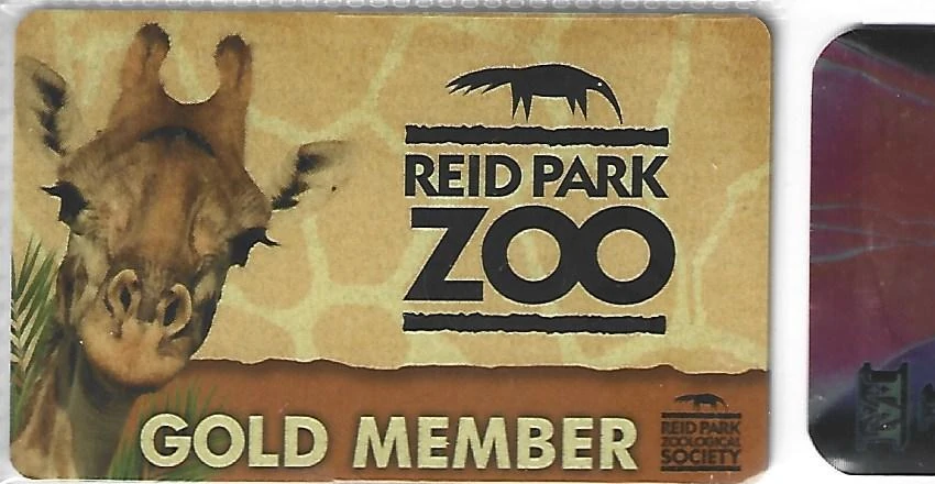 Plastic Business Cards