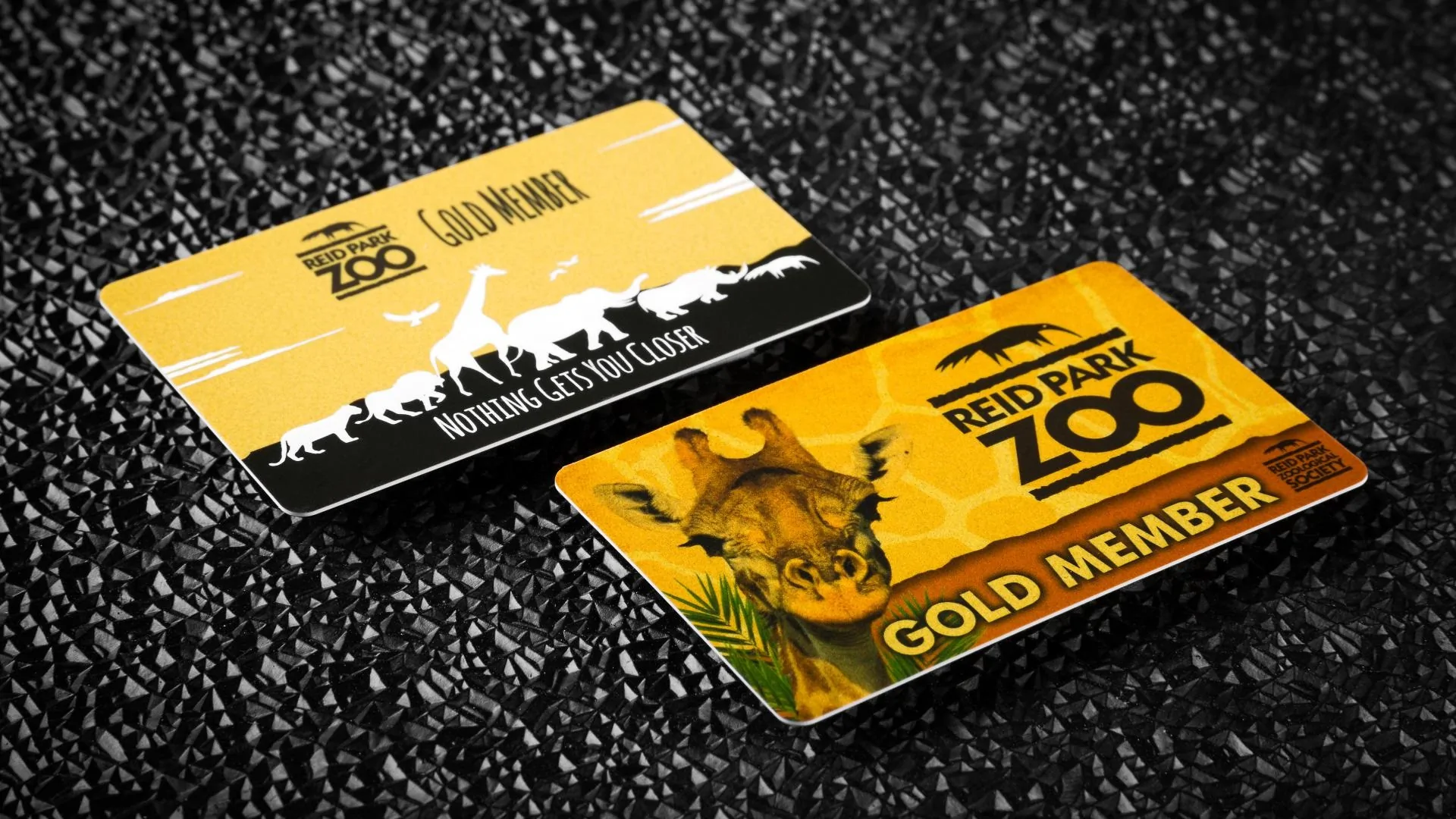 Membership Loyalty Cards